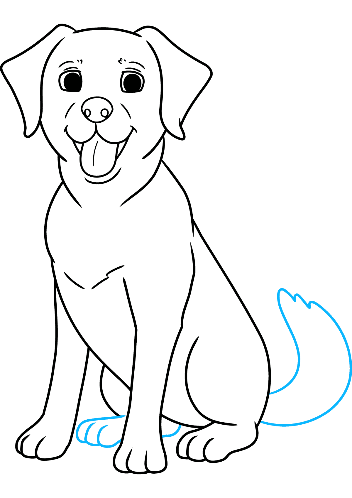 How To Draw A Cartoon Labrador