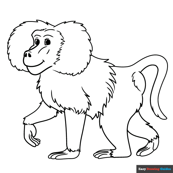 Baboon coloring page easy drawing guides