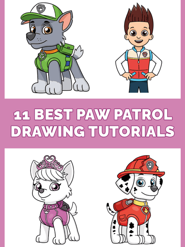 11 Best PAW Patrol Drawing Tutorials Pinterest Image