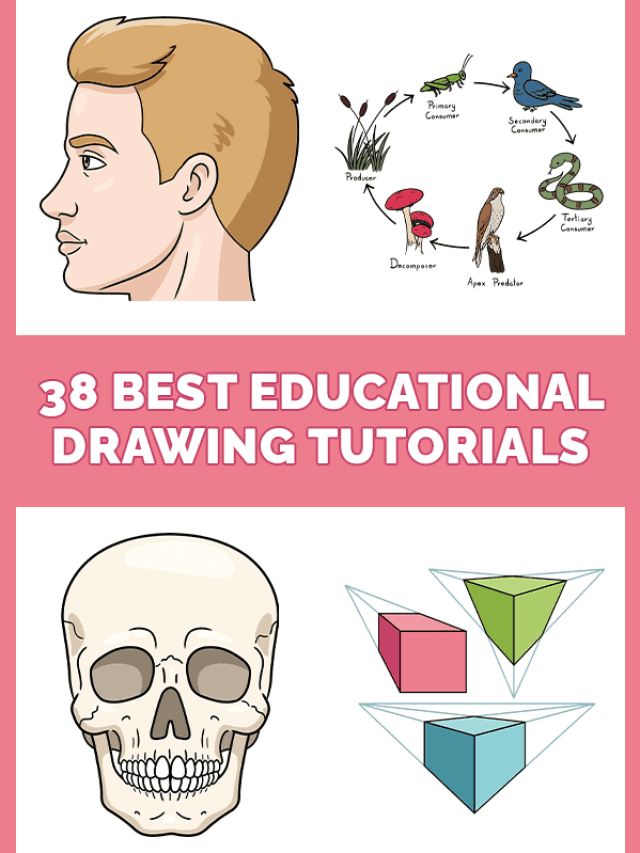 38 Best Education Drawing Tutorials Pinterest Image
