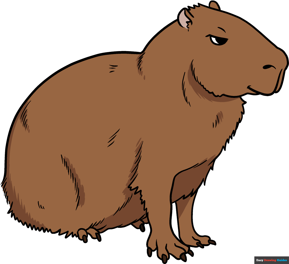 How To Draw A Capybara Really Easy Drawing Tutorial
