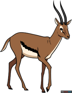 How to Draw a Gazelle Featured Image