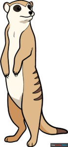 How to Draw a Meerkat Featured Image