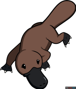 How to Draw a Platypus Featured Image