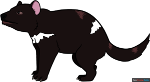 How to Draw a Tasmanian Devil Featured Image