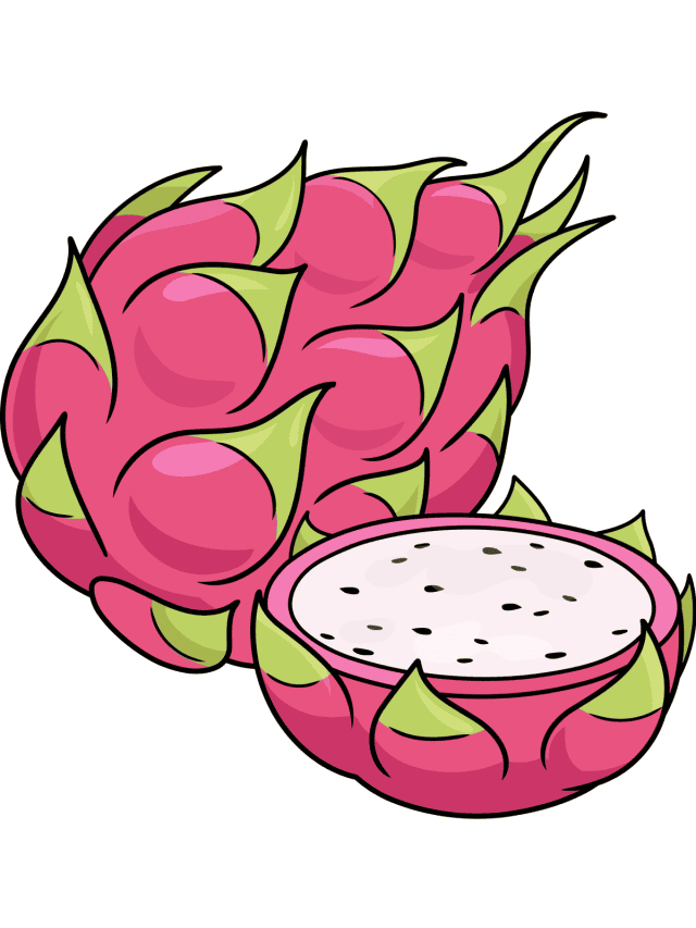 Dragon Fruit drawing tutorial - web story - complete