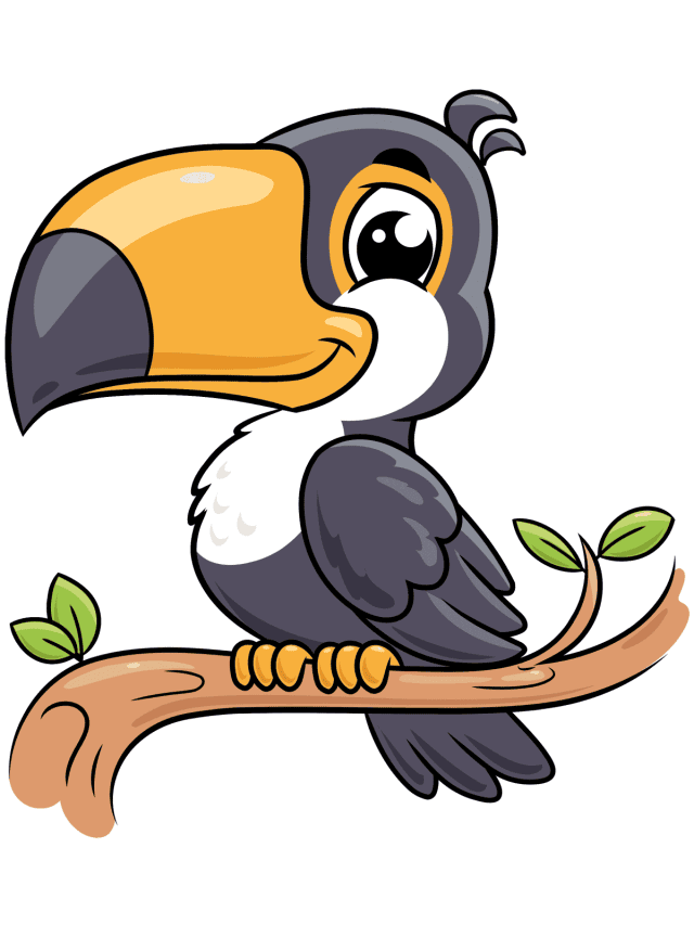 Toucan drawing tutorial - web story - complete