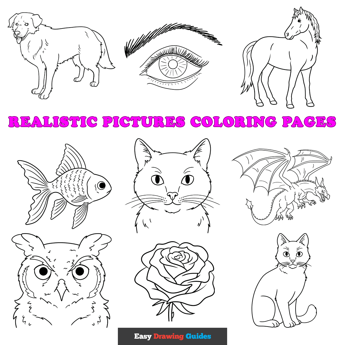 Coloring Pictures Realistic