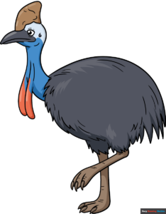 How to Draw a Cassowary Featured Image