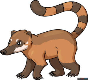 How to Draw a Coati Featured Image
