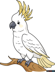 How to Draw a Cockatoo Featured Image