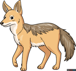 How to Draw a Jackal Featured Image