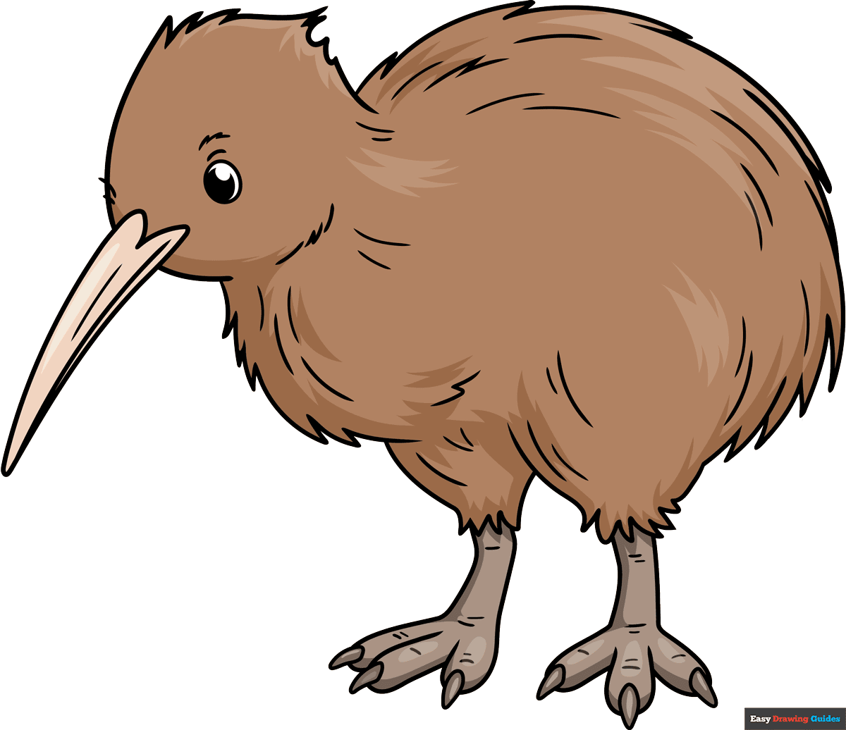 How to Draw a Kiwi Bird Featured Image