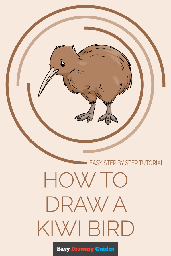 How to Draw a Kiwi Bird Pinterest Image