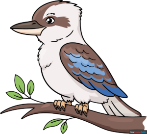 How to Draw a Kookaburra Featured Image
