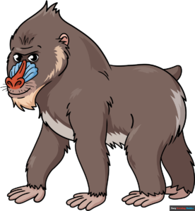 How to Draw a Mandrill Featured Image