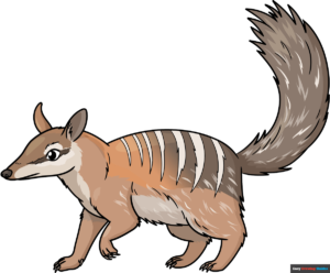 How to Draw a Numbat Featured Image