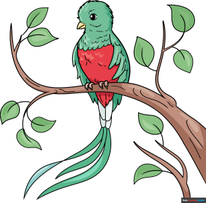 How to Draw a Quetzal Featured Image