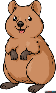 How to draw a Quokka Featured Image