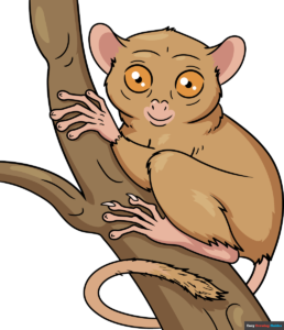 How to Draw a Tarsier Featured Image