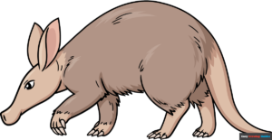 How to Draw an Aardvark Featured Image