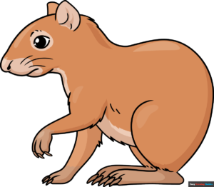 How to Draw an Agouti Featured Image