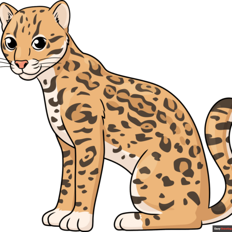 How to Draw an Ocelot Featured Image