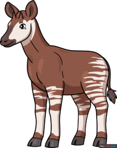 How to Draw an Okapi Featured Image