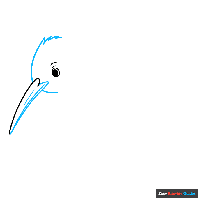 Kiwi Bird step-by-step drawing tutorial: step 2