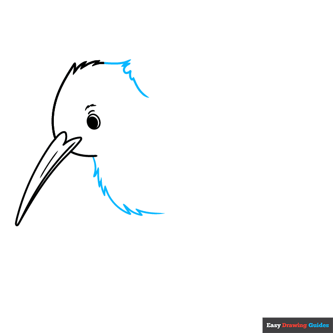 Kiwi Bird step-by-step drawing tutorial: step 3