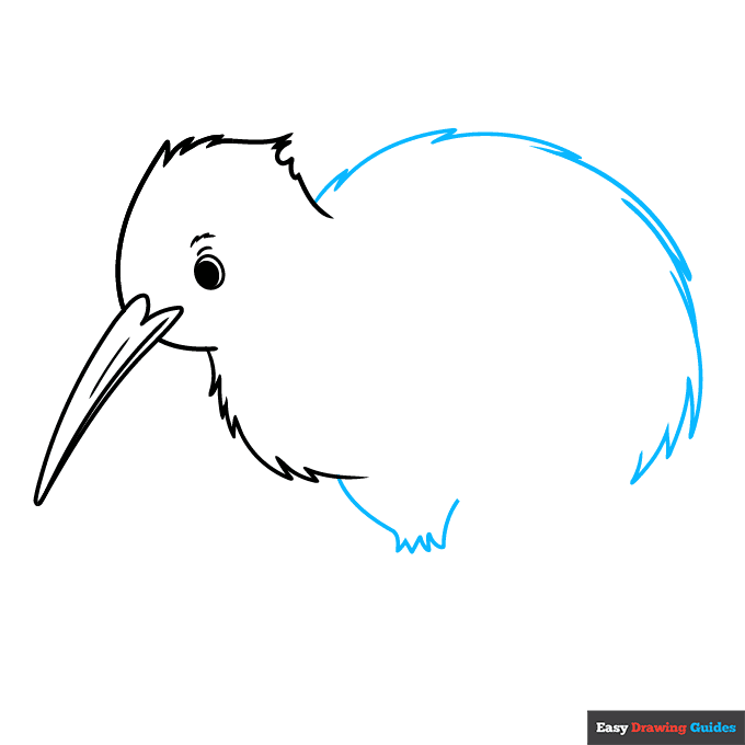 Kiwi Bird step-by-step drawing tutorial: step 4