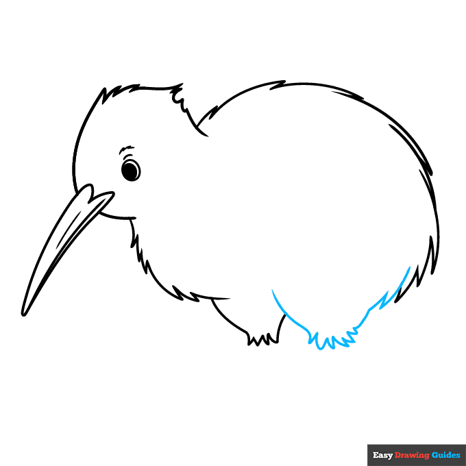 Kiwi Bird step-by-step drawing tutorial: step 5