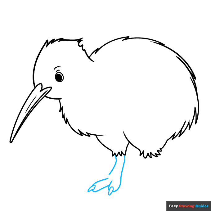 Kiwi Bird step-by-step drawing tutorial: step 6