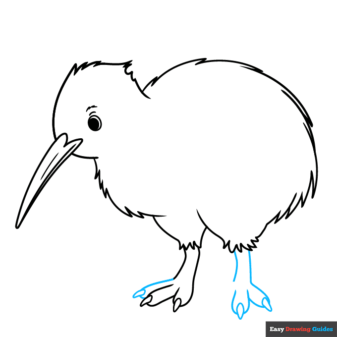 Kiwi Bird step-by-step drawing tutorial: step 7