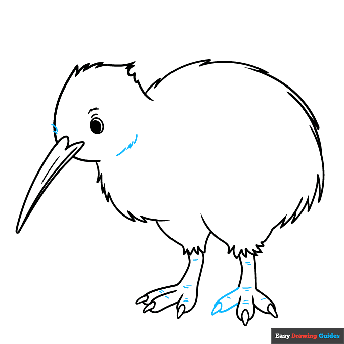 Kiwi Bird step-by-step drawing tutorial: step 8