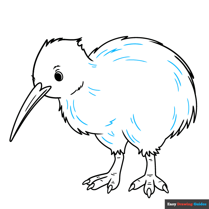 Kiwi Bird step-by-step drawing tutorial: step 9