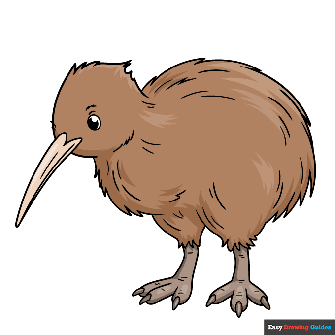 Kiwi Bird step-by-step drawing tutorial: step 11