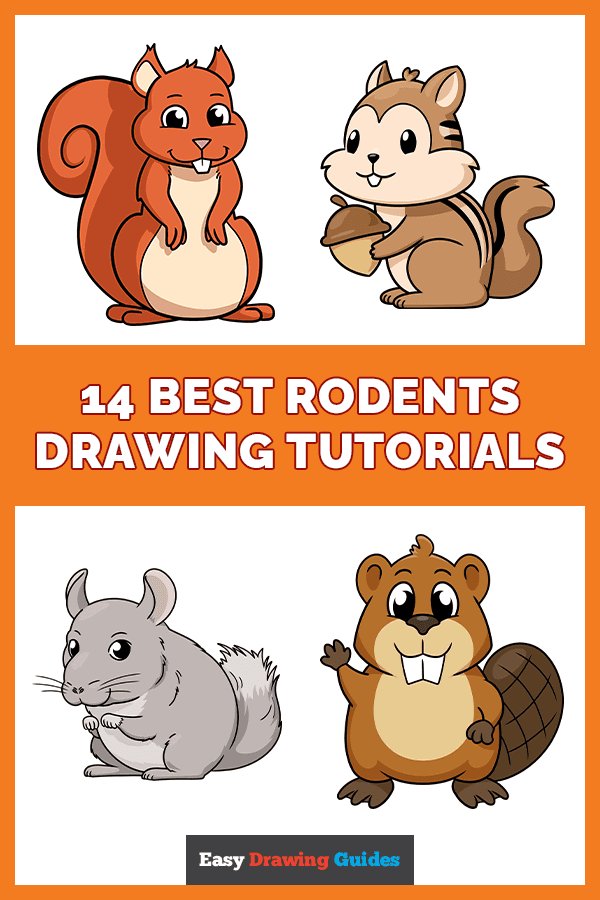 14 Best Rodents Drawing Tutorials Pinterest Image