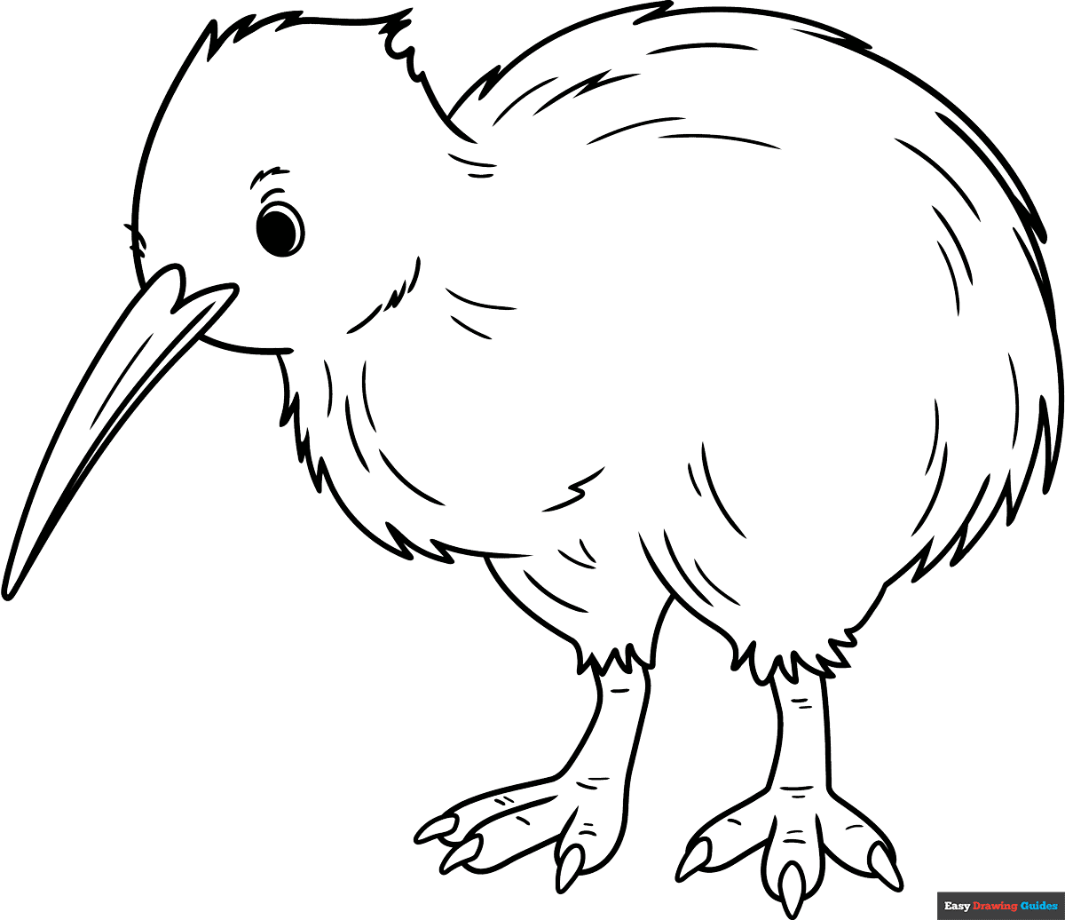Free printable Kiwi Bird coloring page