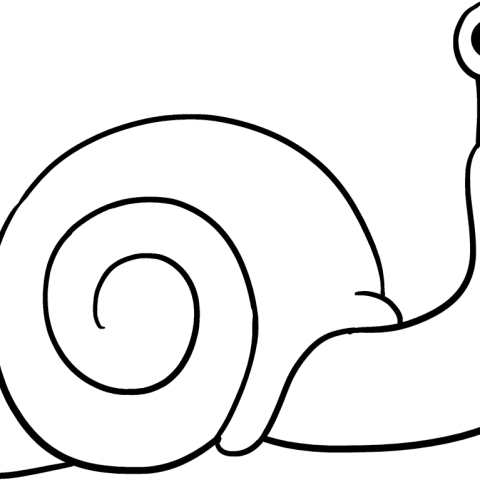 Free printable Snail coloring page