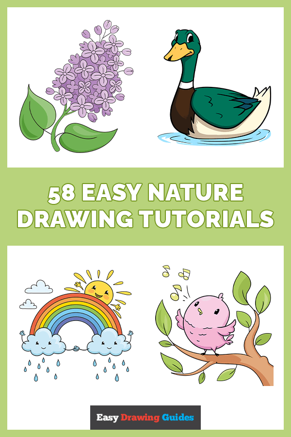 58 Easy Nature Drawing Tutorials for Kids Pinterest Image