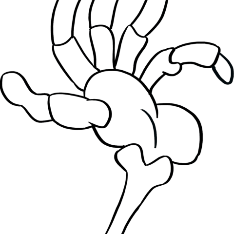Free printable Skeleton Hands coloring image