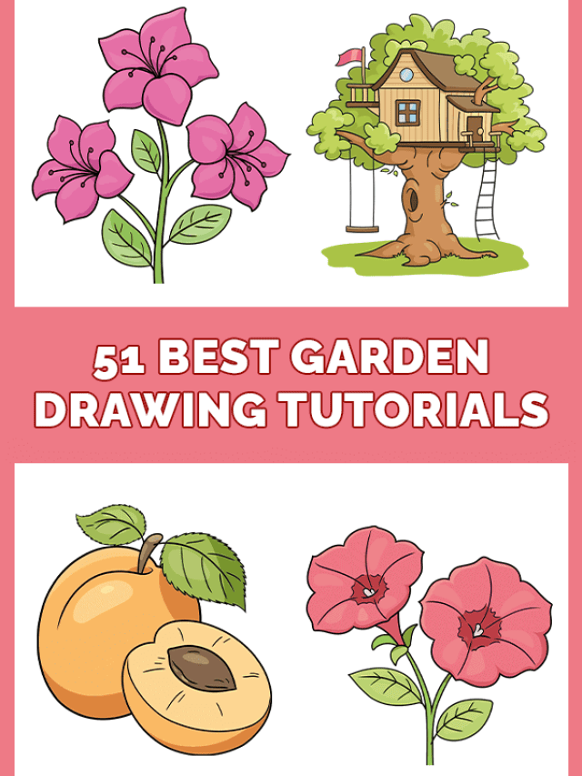 51 Easy Garden Drawing Tutorials Pinterest Image