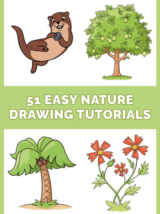 51 Best Nature Drawing Tutorials Pinterest Image