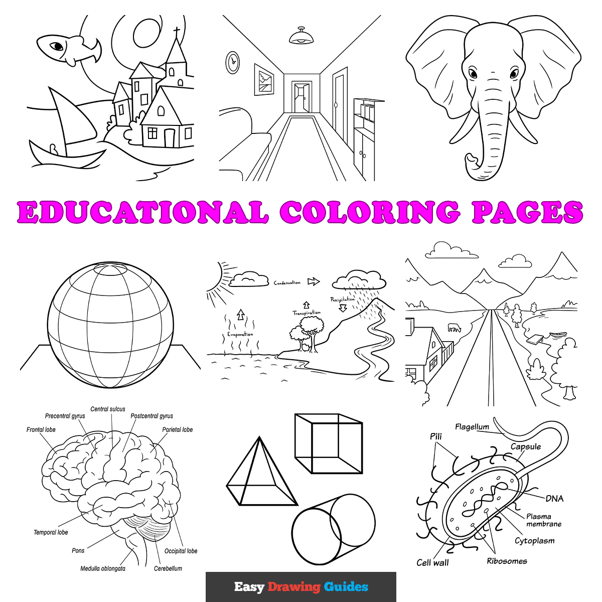 Free printable educational coloring sheets - featured image