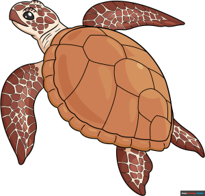 How to Draw a Realistic Sea Turtle Featured Image