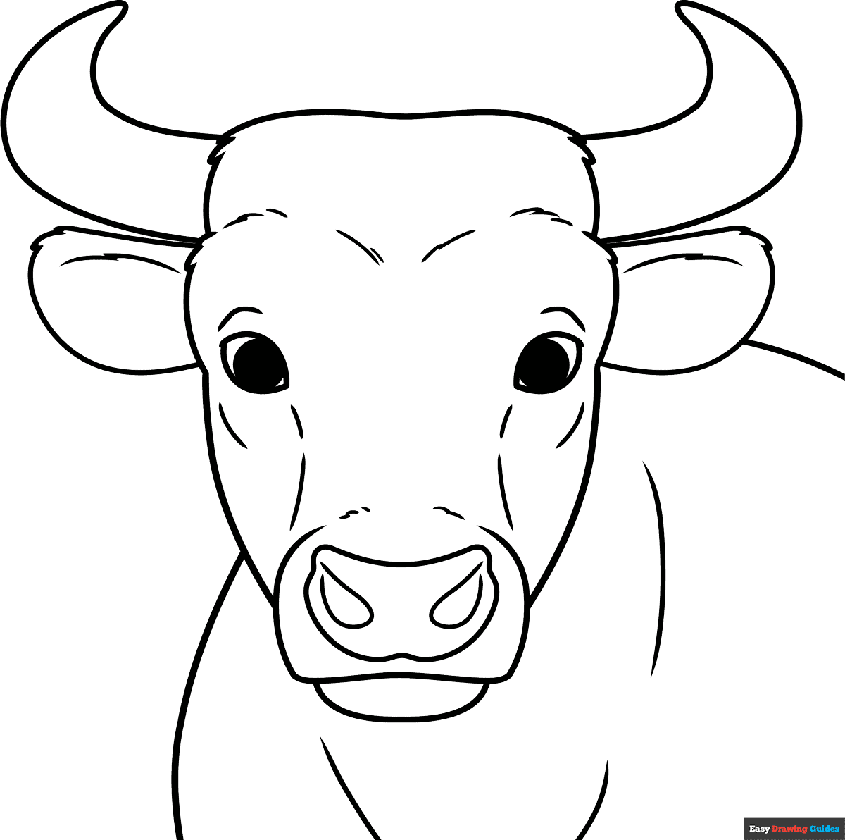Free printable Bull Head and Face coloring page