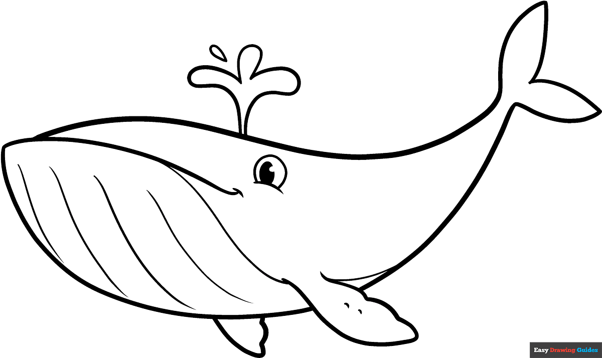 Humpback Whale Coloring Page Easy Drawing Guides