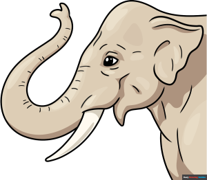 How to Draw an Elephant Trunk Featured Image