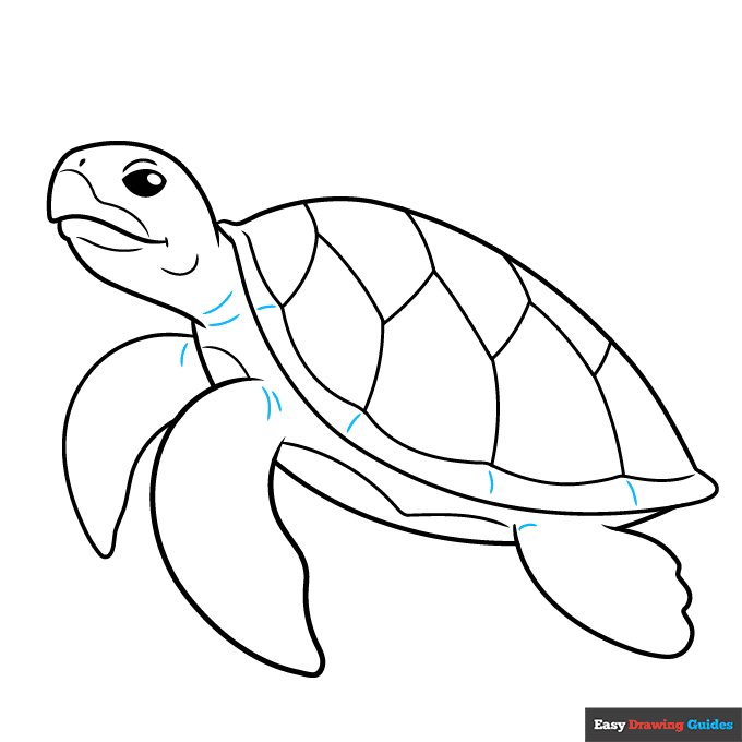 How To Draw A Turtle Outline Really Easy Drawing Tutorial How To Draw A Turtle Outline Really Easy Drawing Tutorial